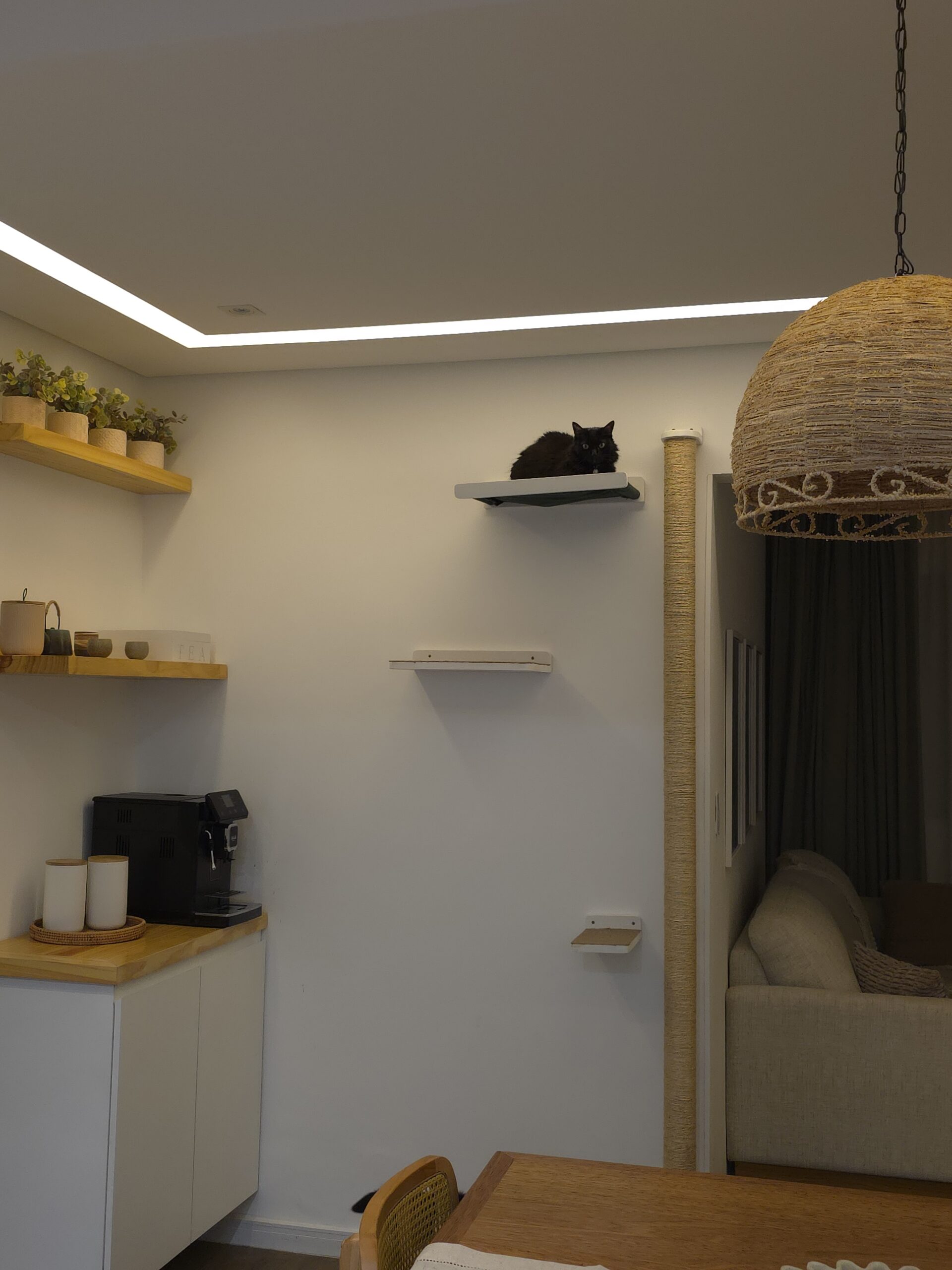 Gato preto em prateleira flutuante branca; circuito de gatificação personalizada com prateleiras e totem de sisal VertiCat na sala da cliente Clara.