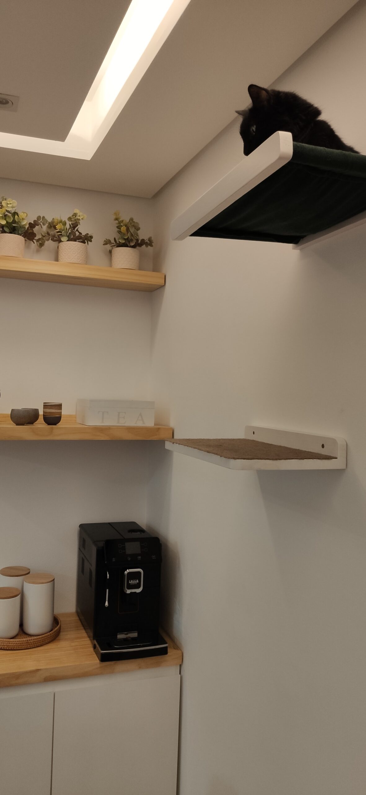 Gato preto na prateleira superior de um circuito de gatificação personalizada VertiCat ao lado do cantinho do café da cliente Clara.