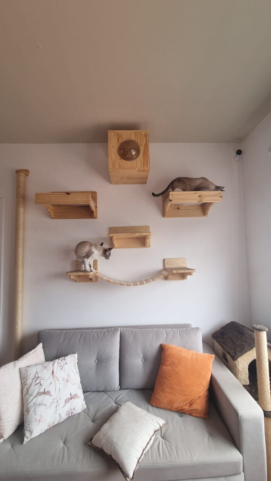 Dois gatos em parede com prateleiras, ponte de corda, nicho com bolha acrílica e totem de sisal em um projeto de gatificação personalizada VertiCat na sala da cliente Selma.